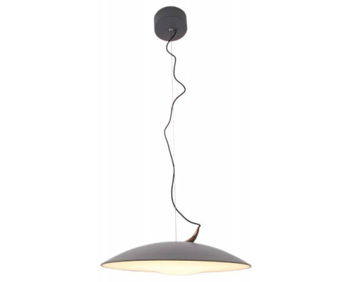 Подвесной светильник Mizi`en Candor MZ46212G