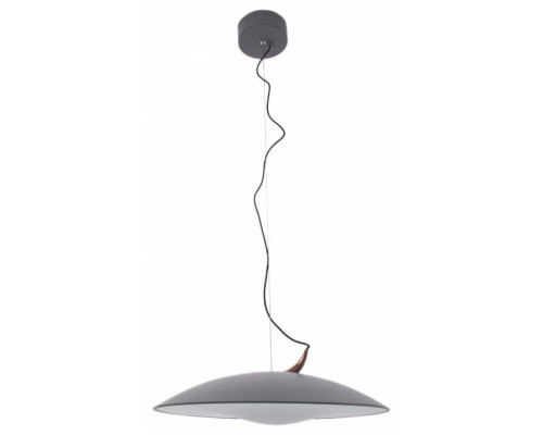 Подвесной светильник Mizi`en Candor MZ46212G