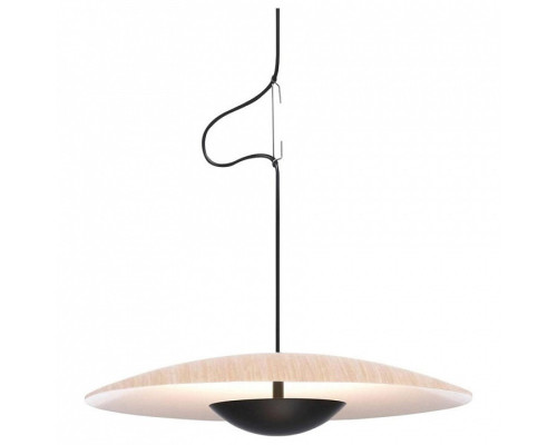 Подвесной светильник O-LUCE Ginger 17010521