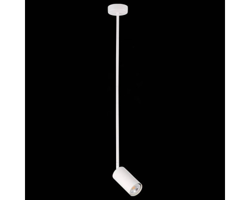 Светильник на штанге ST-Luce Sormano SL1206.503.01