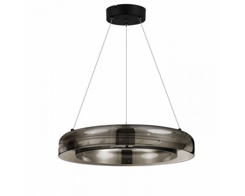 Подвесной светильник ST-Luce Foray SL6019.333.01