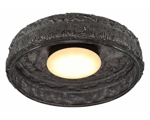 Накладной светильник ST-Luce ANTIKE SL6143.412.01