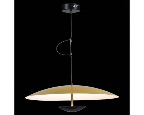 Подвесной светильник ST-Luce Armonico SL6502.213.01