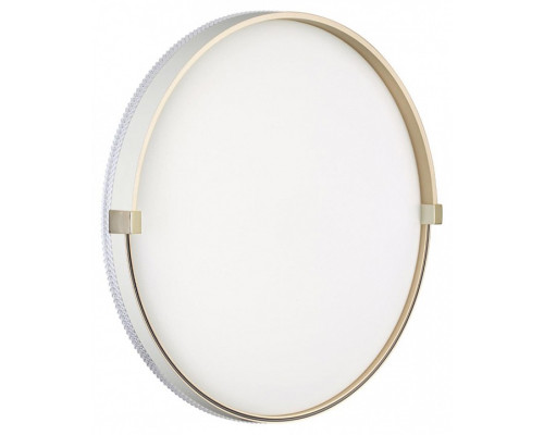 Накладной светильник Sonex PALE 7646/ELN