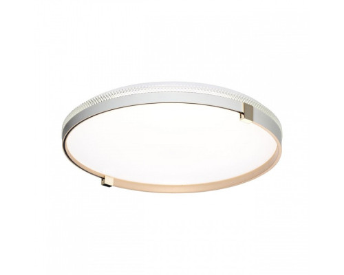 Накладной светильник Sonex PALE 7646/ELN