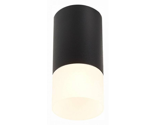 Накладной светильник ST-Luce ST100 ST100.412.01