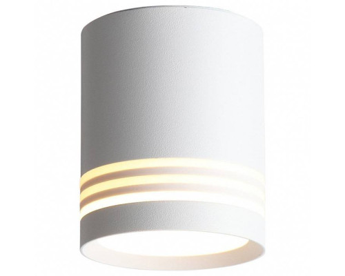 Накладной светильник ST-Luce Cerrione ST101.542.05