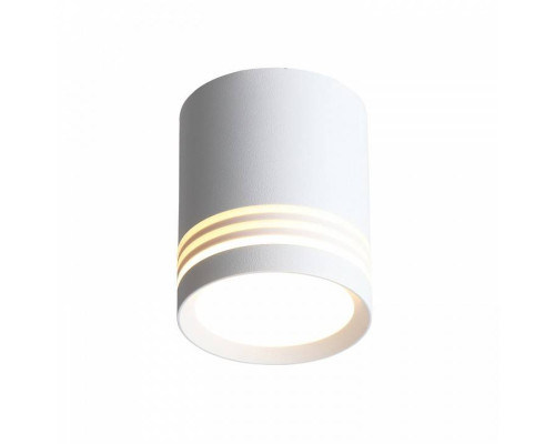 Накладной светильник ST-Luce Cerrione ST101.542.05