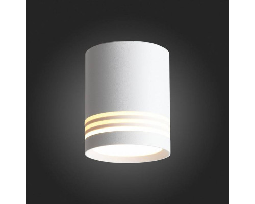 Накладной светильник ST-Luce Cerrione ST101.542.05