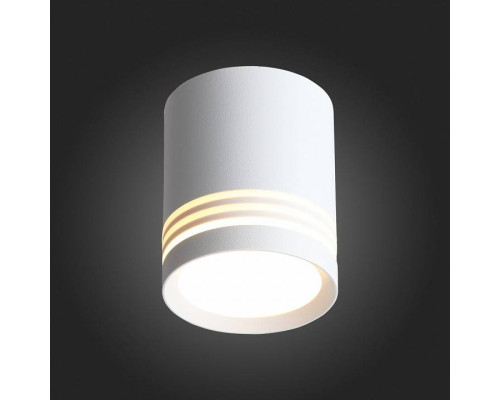 Накладной светильник ST-Luce Cerrione ST101.542.05