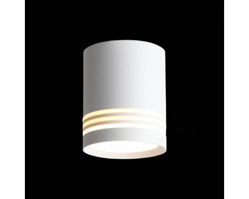 Накладной светильник ST-Luce Cerrione ST101.542.05