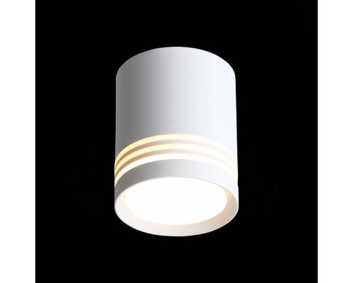 Накладной светильник ST-Luce Cerrione ST101.542.05