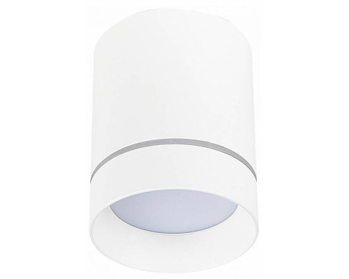 Накладной светильник ST-Luce ST115 ST115.532.07