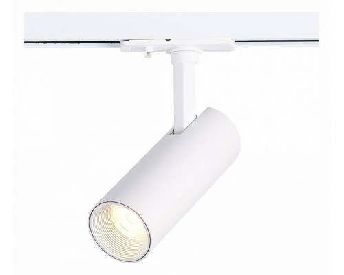 Светильник на штанге ST-Luce Mono ST350.546.10.36