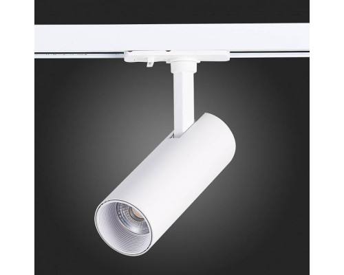 Светильник на штанге ST-Luce Mono ST350.546.10.36