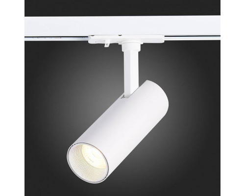 Светильник на штанге ST-Luce Mono ST350.546.10.36