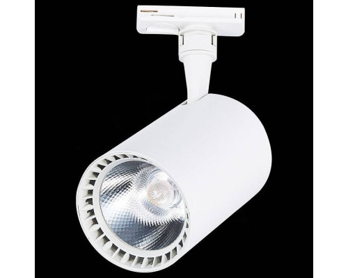 Светильник на штанге ST-Luce Cami ST351.546.30.36