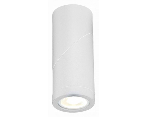 Светильник на штанге ST-Luce ST650 ST650.502.01