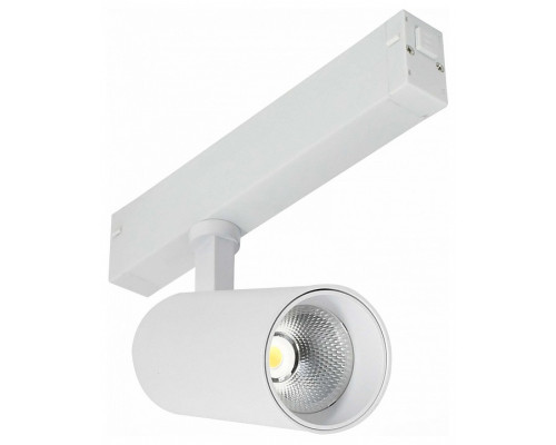 Светильник на штанге ST-Luce SKYLINE 220 ST660.536.20H