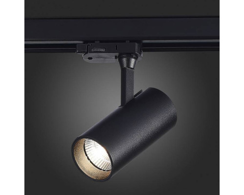 Светильник на штанге ST-Luce Трехфазная трековая система ST661.446.10