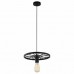 Подвесной светильник TopLight Vanessa TL1201H-01BK