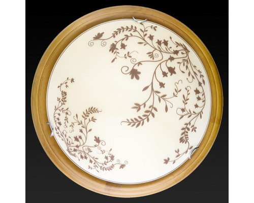 Накладной светильник TopLight Irene TL9630Y-00OA