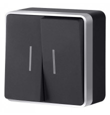 Выключатель двухклавишный с подсветкой Werkel Gallant (черный с серебром) W5020134