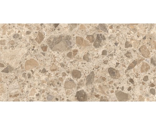 CityStone Керамогранит Чеппо Мультиколор Матовый K951849R0001VTEP 60х120