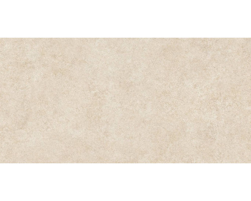 GFA114ADM40R керамогранит сатинированный Amsterdam 570*1140 (2 шт в уп/45,5 м в пал)