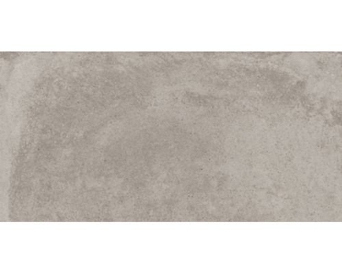 Lofthouse глаз. керамогранит серый (16312) 29,7х59,8