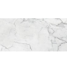 Marble Trend Керамогранит K-1000/LR/30x60 Carrara