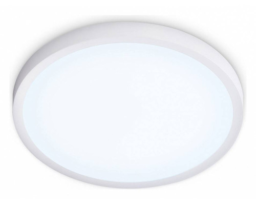 Накладной светильник Ambrella Light FZ FZ1951