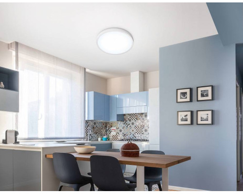 Накладной светильник Ambrella Light FZ FZ1951