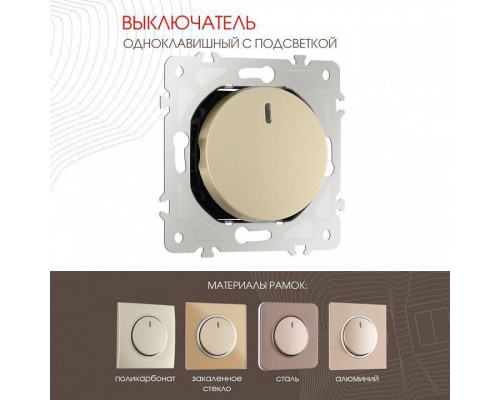 Выключатель одноклавишный с подсветкой без рамки Arte Milano 202 202.31-1.shampan
