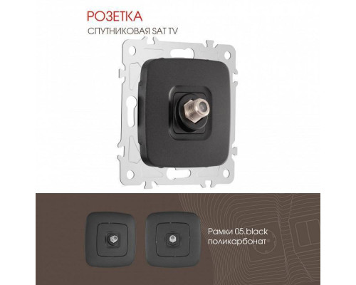 ТВ-розетка без рамки Arte Milano am-205 205.42-1.black