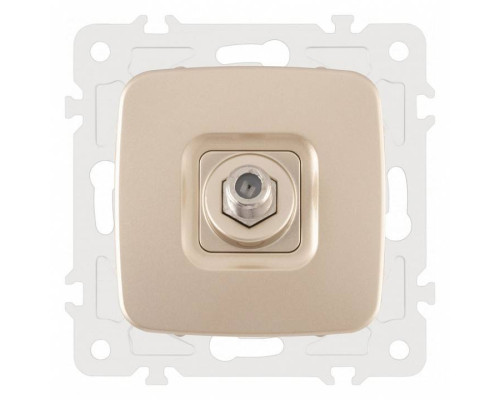 ТВ-розетка без рамки Arte Milano am-205 205.42-1.shampan