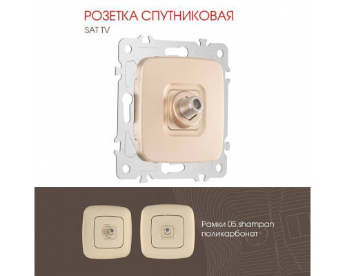 ТВ-розетка без рамки Arte Milano am-205 205.42-1.shampan