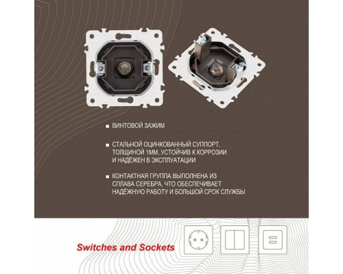 ТВ-розетка без рамки Arte Milano am-205 205.42-1.shampan