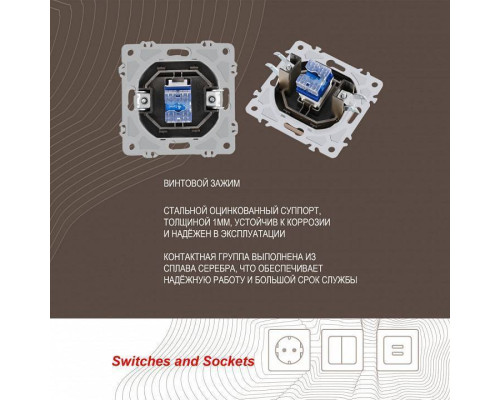 Розетка телефонная RJ-11 без рамки Arte Milano am-206 206.51-1.shampan