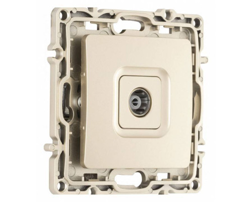 ТВ-розетка без рамки Arte Milano am-217 217.43-1.shampan