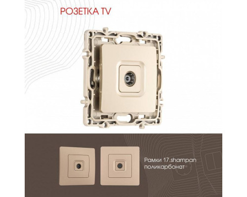 ТВ-розетка без рамки Arte Milano am-217 217.43-1.shampan