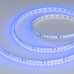 Лента светодиодная Arlight RT-A120-8mm 24V Blue 120 LED/m 008783(2)