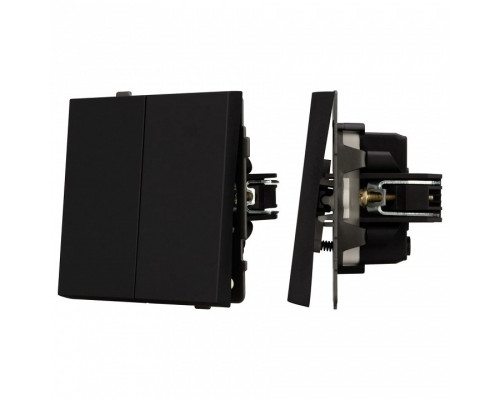 Выключатель двухклавишный без рамки Arlight SWT 054544