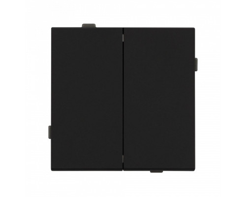 Выключатель двухклавишный без рамки Arlight SWT 054544