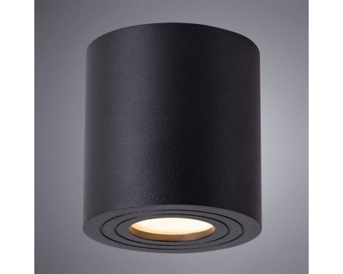 Накладной светильник Arte Lamp Galopin A1460PL-1BK