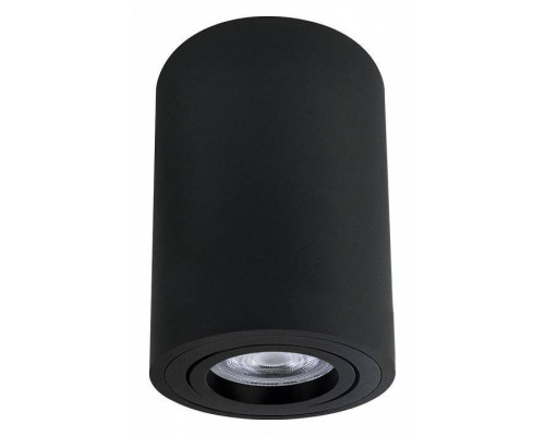 Накладной светильник Arte Lamp Sentry A1566PL-1BK