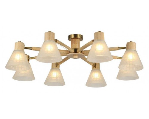 Потолочная люстра Arte Lamp Meleph A4096PL-8BR