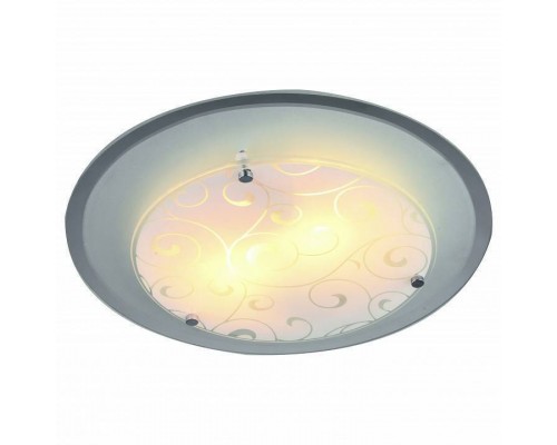 Накладной светильник Arte Lamp Ariel A4806PL-1CC