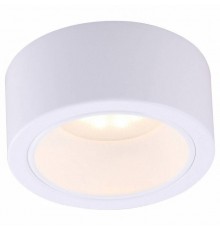 Накладной светильник Arte Lamp Effetto A5553PL-1WH