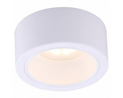 Накладной светильник Arte Lamp Effetto A5553PL-1WH